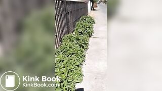 1 (2), ScatKings.com Scat Porn 14 ScatKings.com Scat Porn