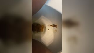 A messy toilet poo.., ScatKings.com Scat Porn 10 ScatKings.com Scat Porn