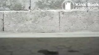 ScatKings.com Scat Porn