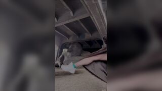 Poop blonde, ScatKings.com Scat Porn 7 ScatKings.com Scat Porn